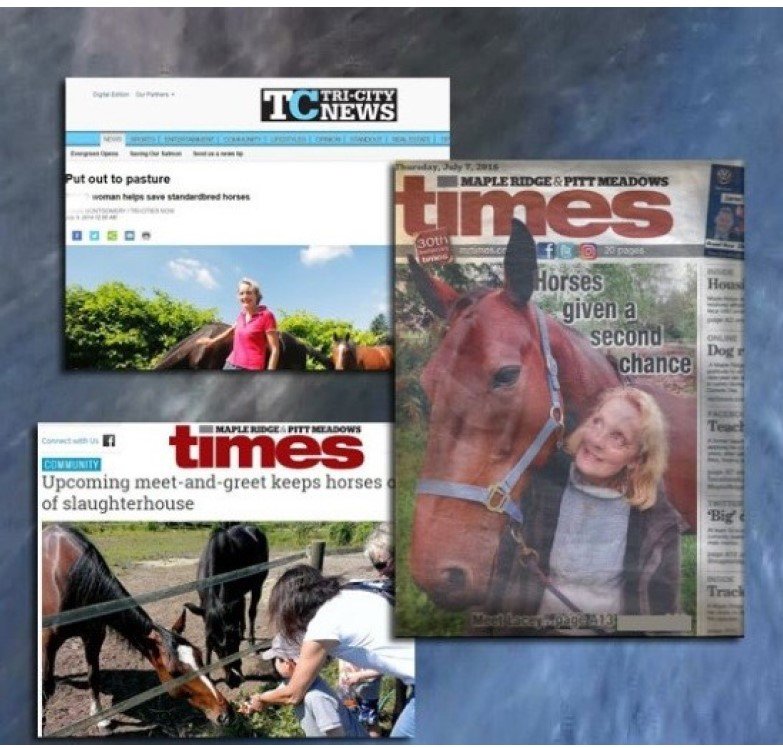 Media coverage of the rescue of standardbred horses from the race track