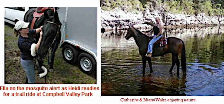 Standardbred Fan Club members riding on the trails