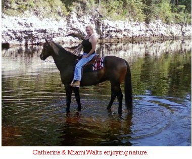 A handsome standardbred horse with a special friend