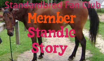 Laura leased a standardbred horse and soon ended up falling in love with her