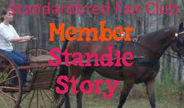 I have been riding, training and loving horses for over 30 years and got my first Standardbred